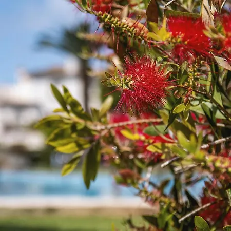 Avalon * Platja de Larenal